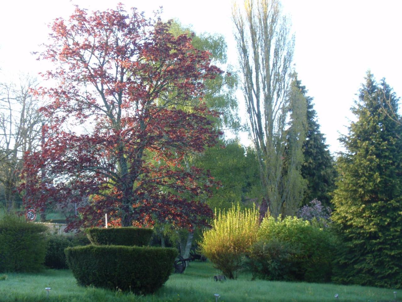 Domaine Des Pecheries Montel-de-Gelat Exterior photo